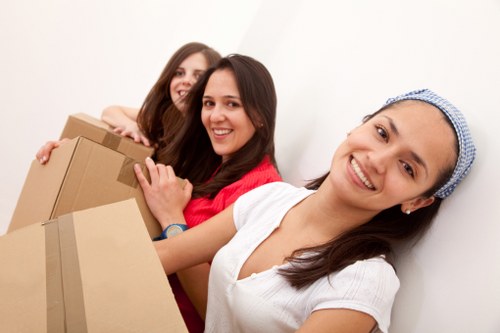Professional man and van support in Goodmayes for safe loading