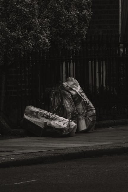 Three large black plastic garbage bags and a substantial cardboard box, all filled with household waste, are placed on the pavement just outside a residential property in Goodmayes. The bags appear to contain soft furnishings or clothing items, while the box, reinforced with packing tape, likely holds miscellaneous waste or items for disposal. The bags and box are positioned near a black metal fence and a brick wall, with a hedge above, indicating an urban street setting. They are situated adjacent to the property’s entrance, possibly awaiting collection or clearance as part of a house removal or clearing process. The scene, captured in daylight, reflects typical waste disposal during a home relocation or renovation, with no visible movement or personnel present but conveying the process of managing bulky waste under local regulations, supported by professional removals services.